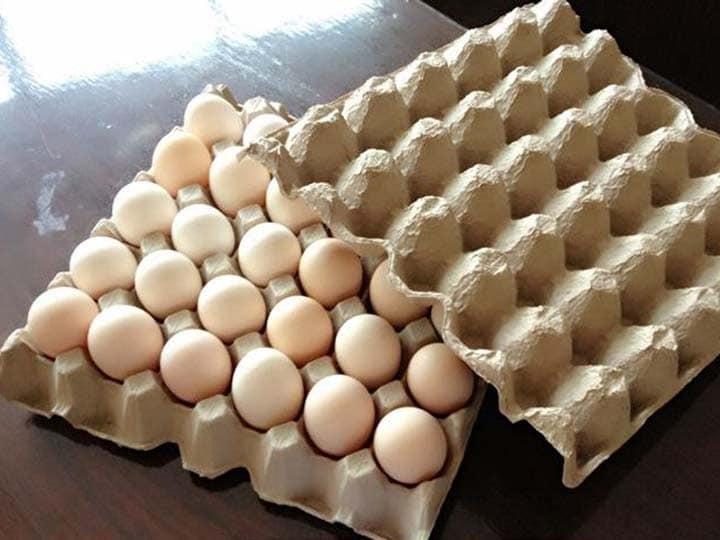 FSSAI Says Eggs Safe for Consumption, Rejects Cancer Risk Claims