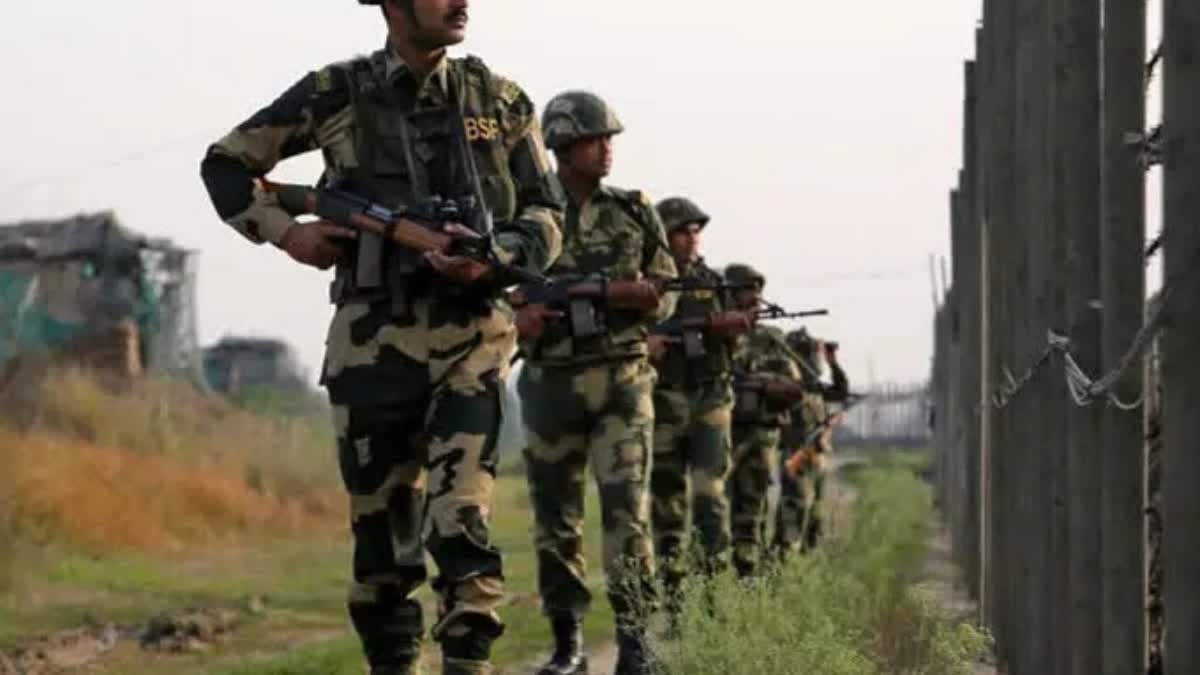 Militant Killed as Infiltration Bid Foiled in Nowshera, Rajouri; Search On for Second